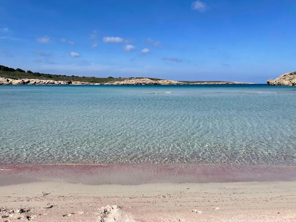 Apartamento Brisa De Menorca 桑帕克